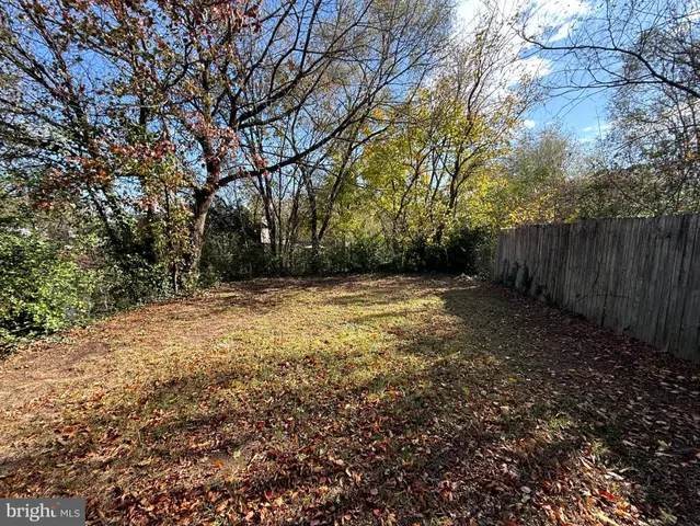 a view of backyard with green space