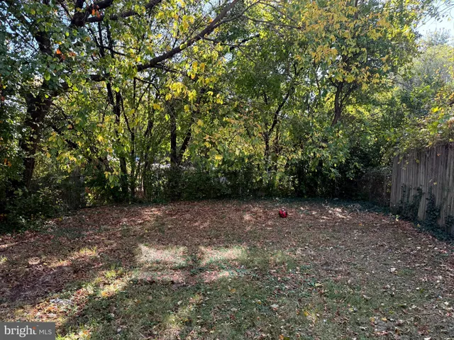 a view of outdoor space with deck and tree
