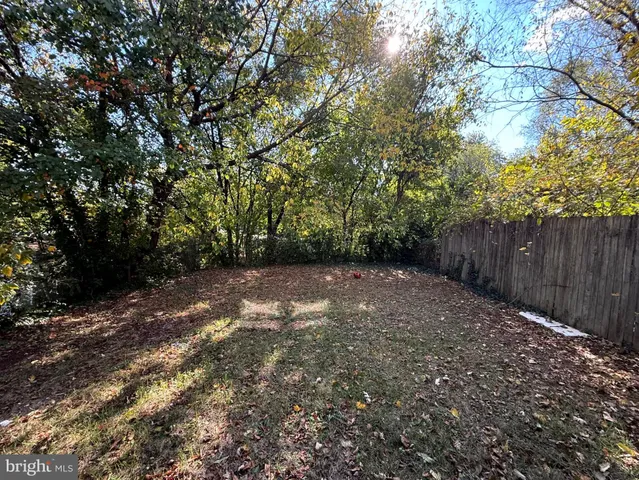 a view of backyard with tree