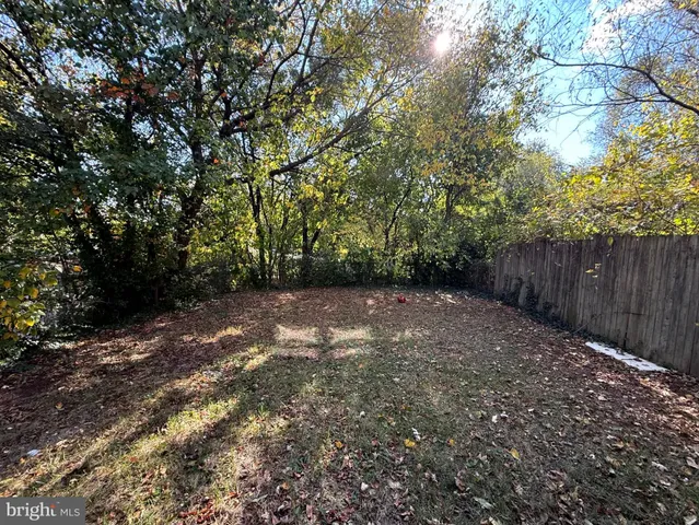 a view of backyard with tree