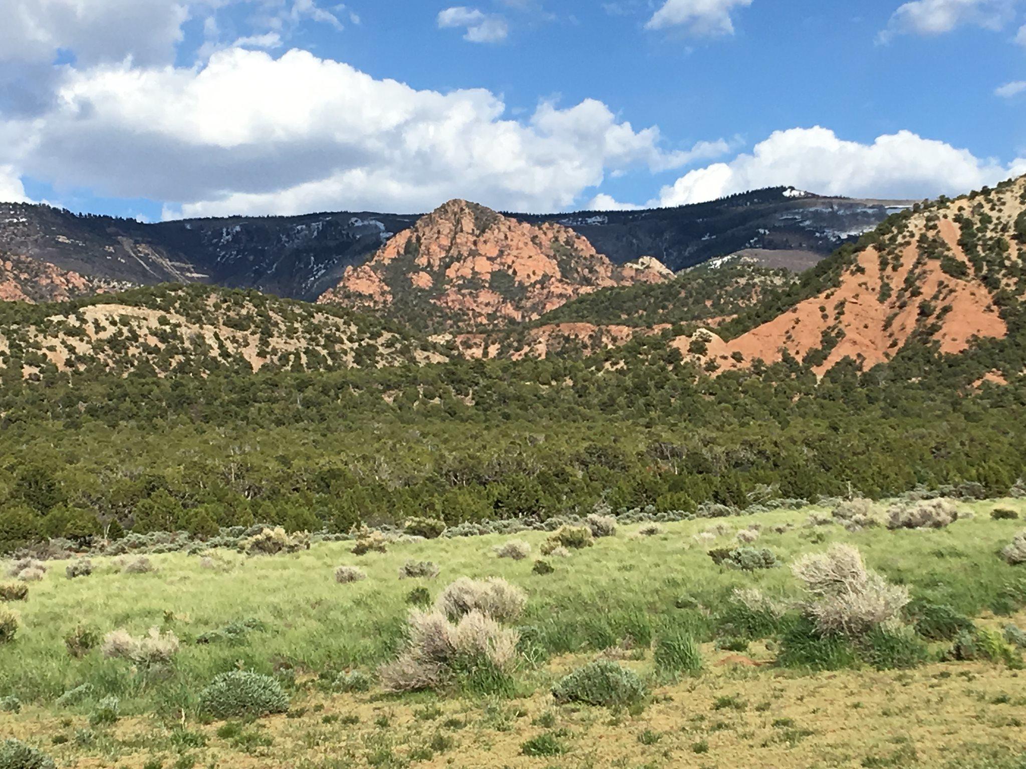 Acreage View