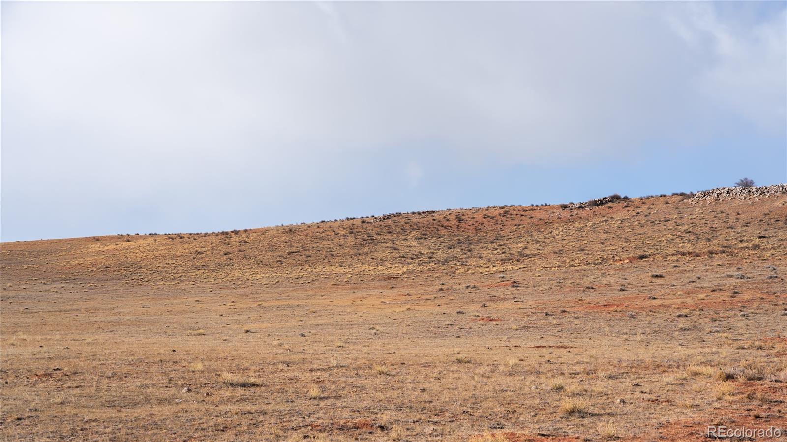 3164 Meier Rdg Trail Fairplay, CO 80440 - Photo 15 of 18 Gallery Image 15