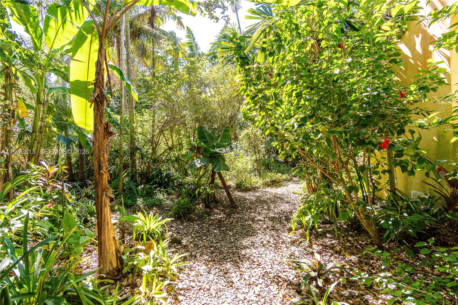 3835 Utopia Court Miami, FL 33133 - Photo 31 of 38 a backyard of a house with lots of plants