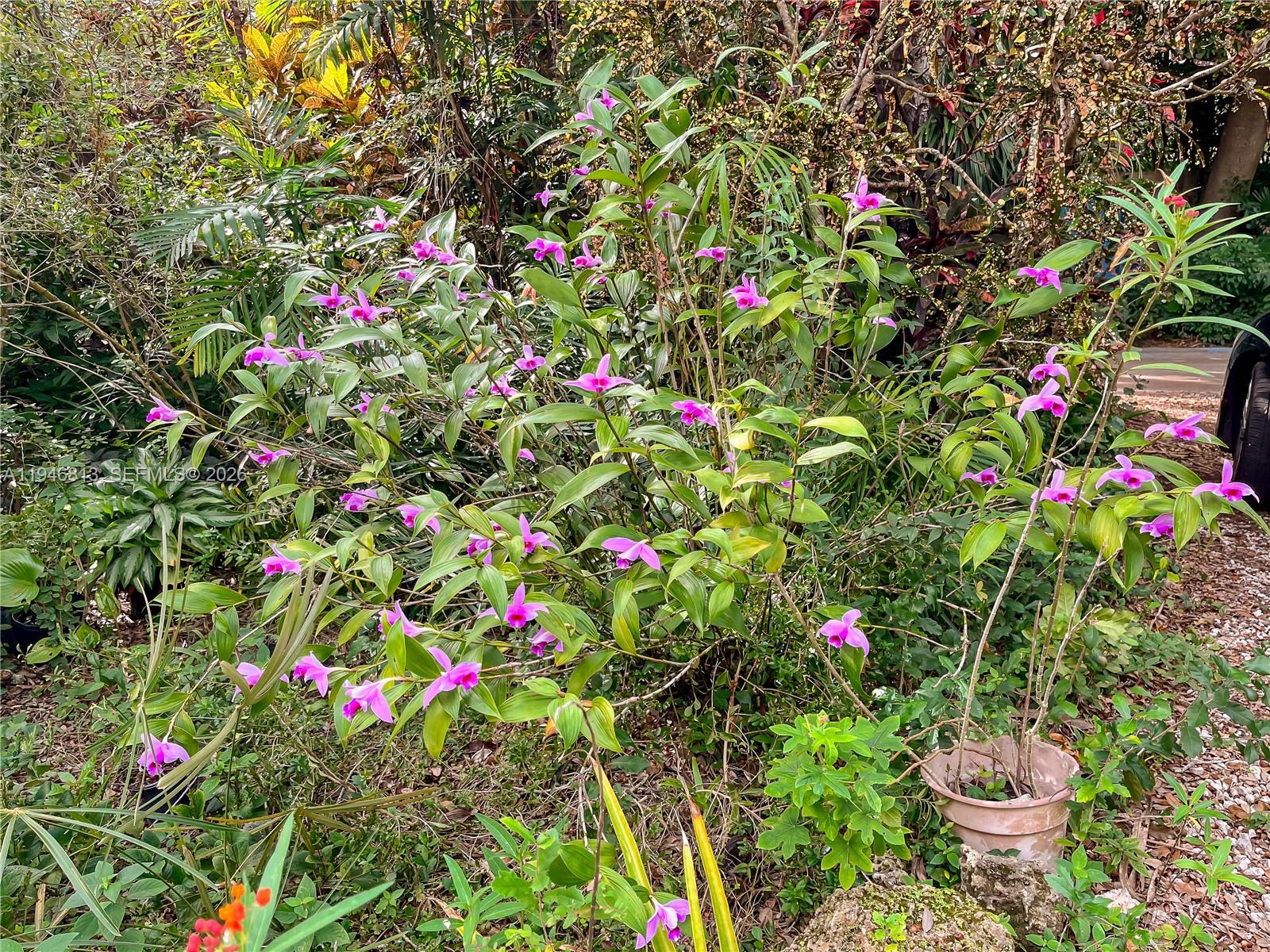 3835 Utopia Court Miami, FL 33133 - Photo 33 of 38