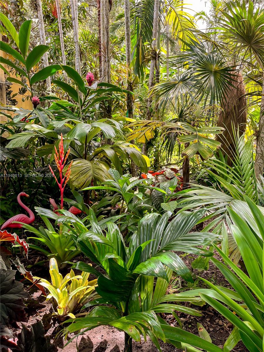 3835 Utopia Court Miami, FL 33133 - Photo 34 of 38