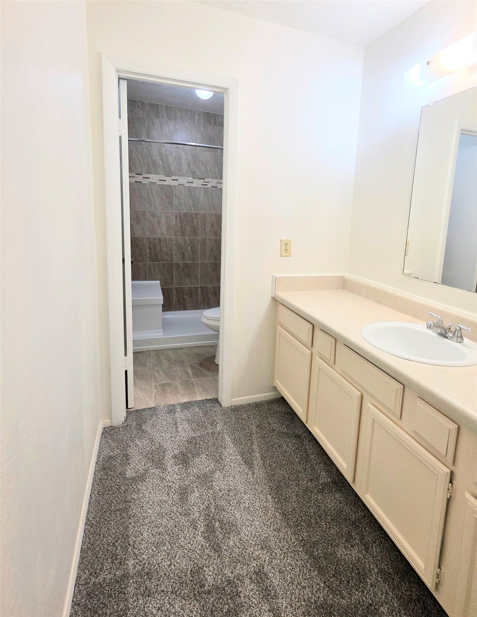 24022 Spring Briar Lane Spring, TX 77373 - Photo 21 of 35 Primary bedroom vanity area
