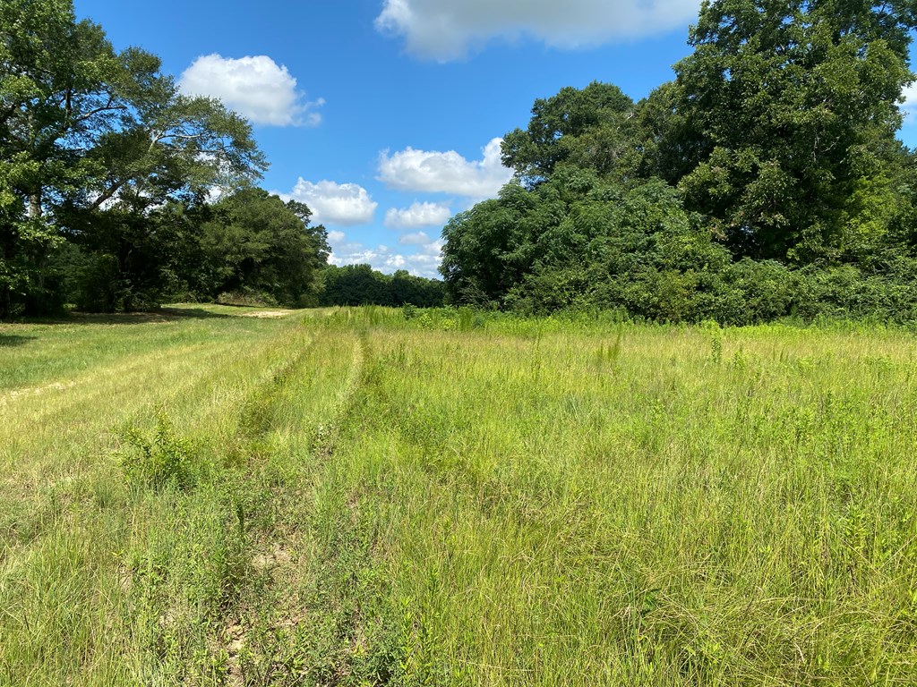16-ac 16-ac National Road Dothan, AL 36301 - Photo 29 of 45