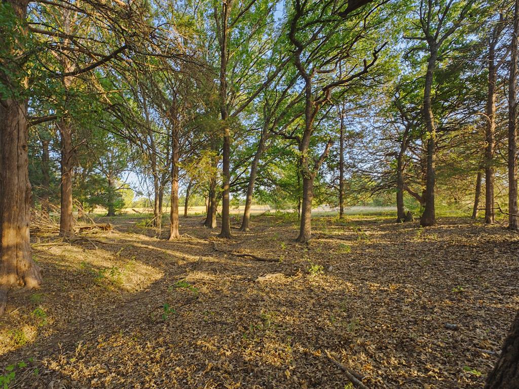 2403 County Road 2224 Decatur, TX 76234 - Photo 36 of 38 Gallery Image 36