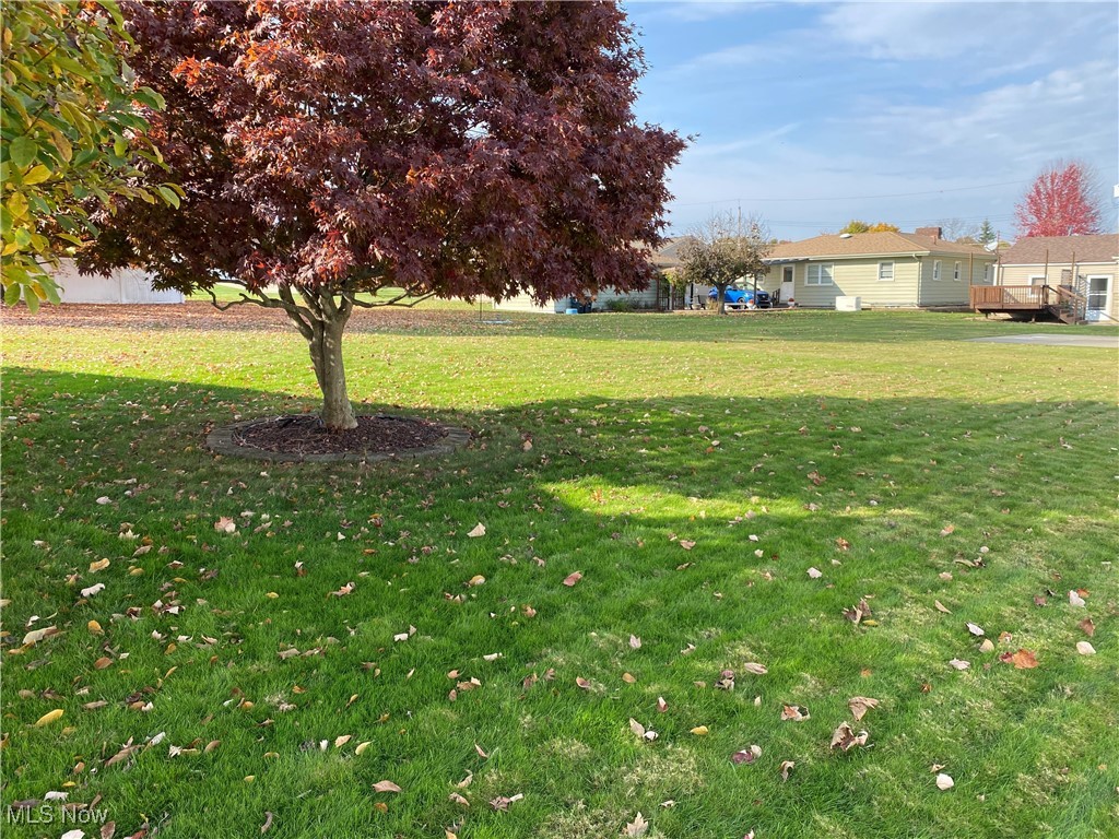 421 Omar Street Struthers, OH 44471 - Photo 31 of 31 View of yard