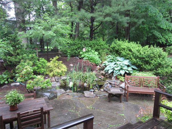 96 Abbott Road Wellesley, MA 02481 - Photo 5 of 14 a backyard with potted plants and a large tree