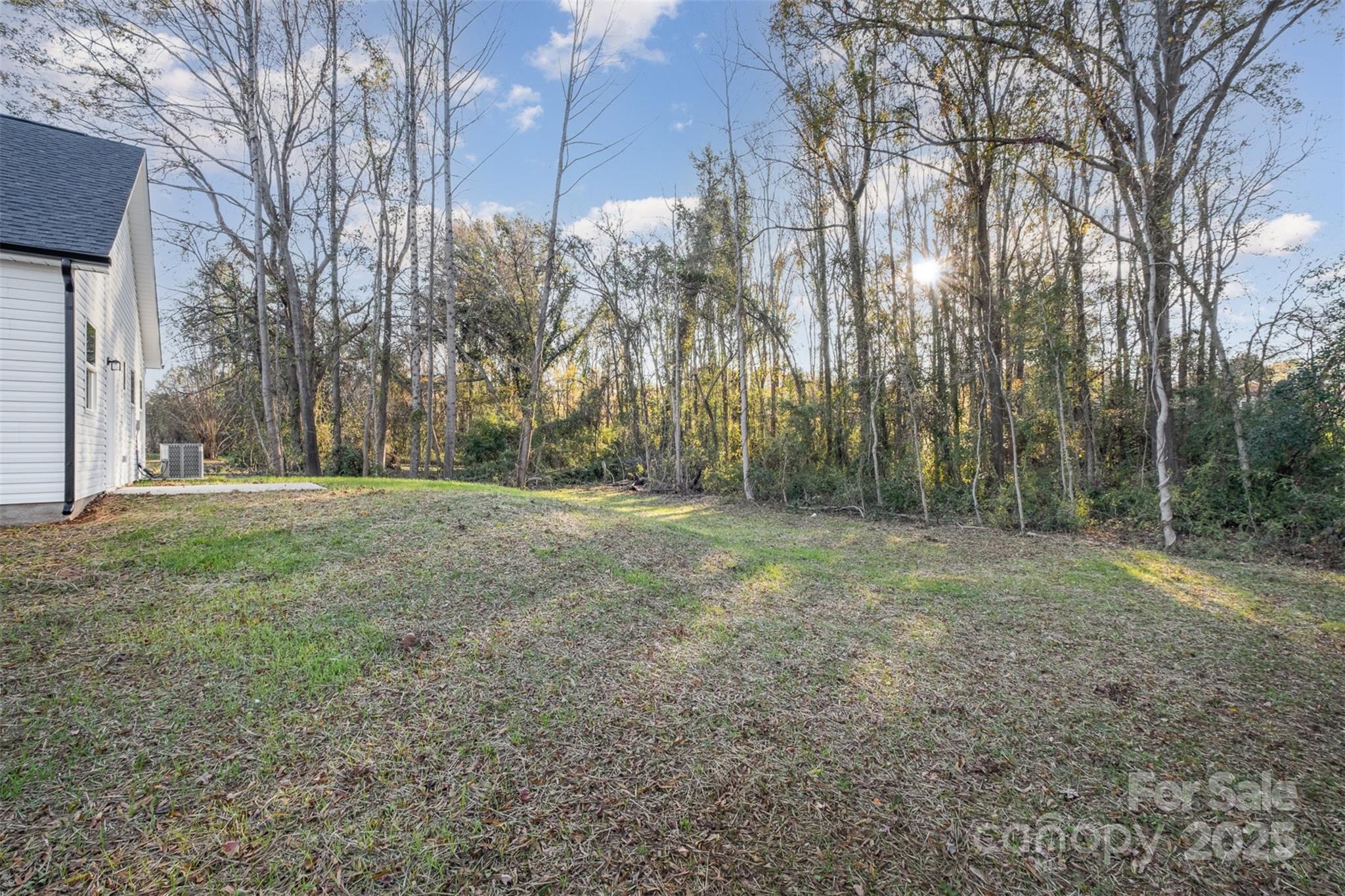 203 William Street York, SC 29745 - Photo 16 of 17 a view of outdoor space with trees