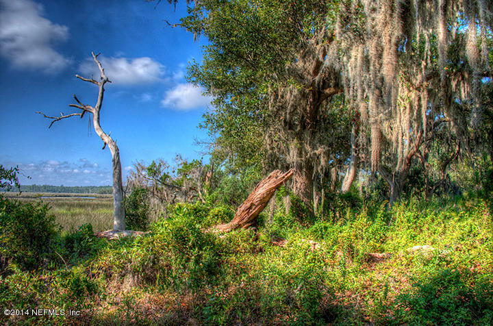 12144 Ridge Crossing Way Jacksonville, FL 32226 - Photo 30 of 62 Tidewater_Nature1_FB