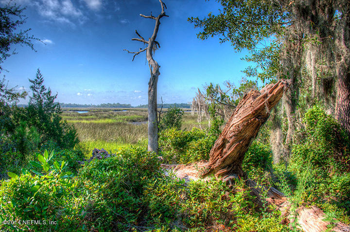 12144 Ridge Crossing Way Jacksonville, FL 32226 - Photo 32 of 62 Tidewater_Nature3_FB