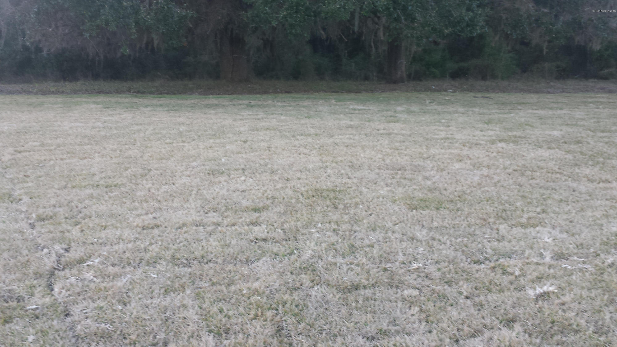 12144 Ridge Crossing Way Jacksonville, FL 32226 - Photo 62 of 62 20150206_175705
