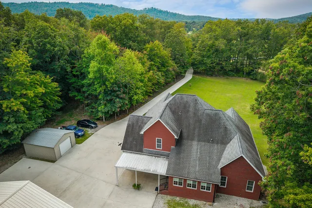 a view of a garden with potted plants