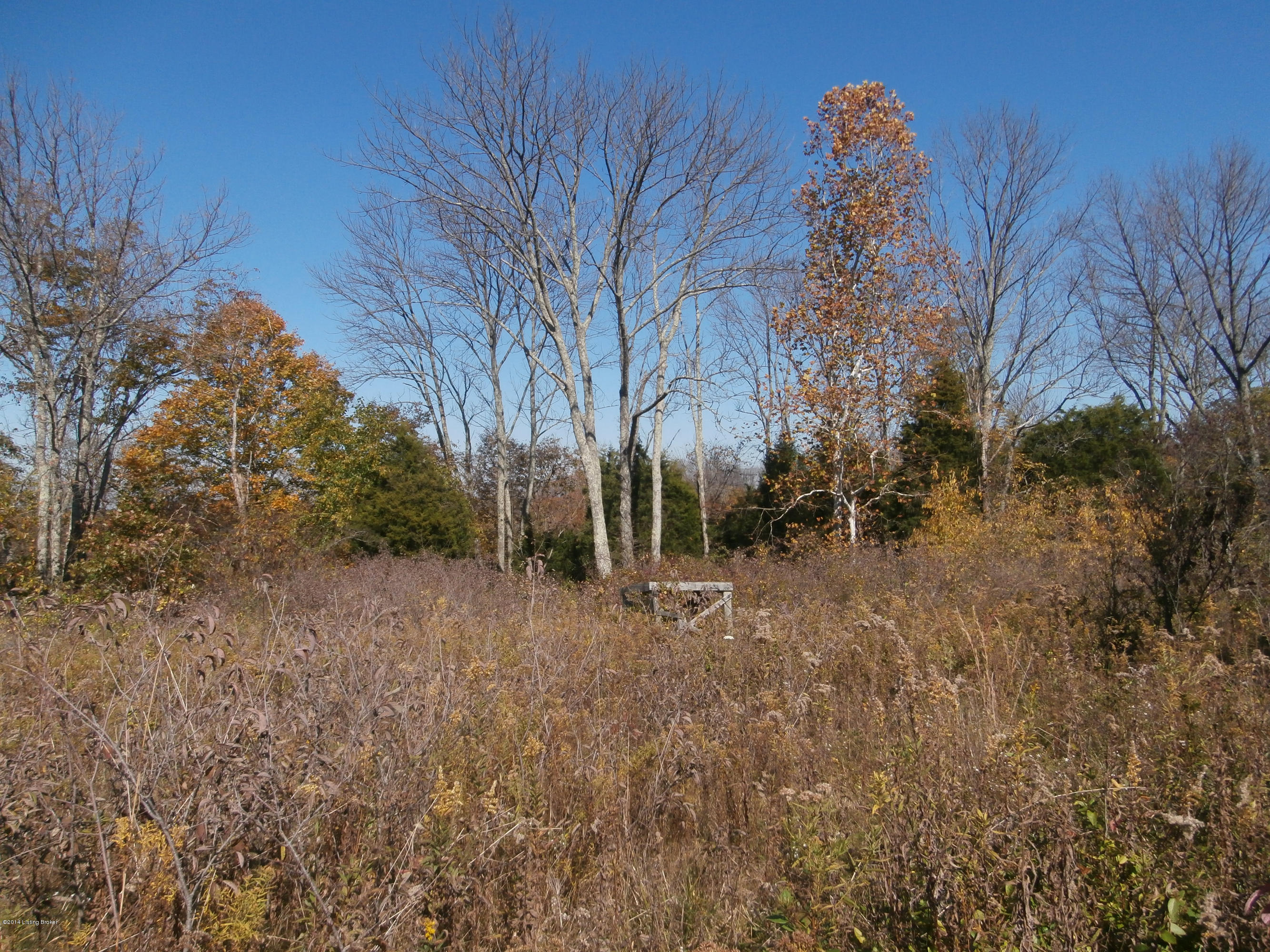 0 George Creek Road Campbellsburg, KY 40011 - Photo 8 of 15 PA240432