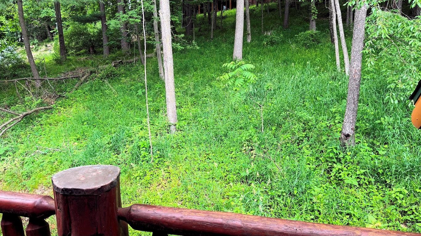 55 Bowman Road, Unit 311 Wisconsin Dells, WI 53965 - Photo 68 of 90