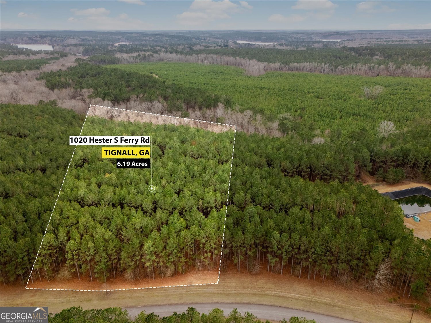 1020 Hester S Ferry Road Tignall, GA 30668 - Photo 2 of 14
