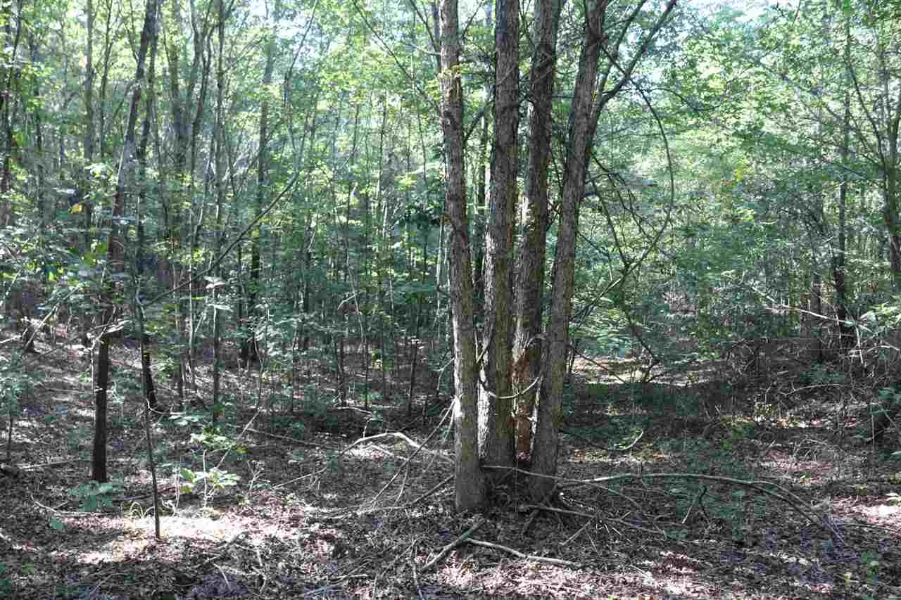 1115 Attala Road Kosciusko, MS 39090 - Photo 3 of 13 Photo 3