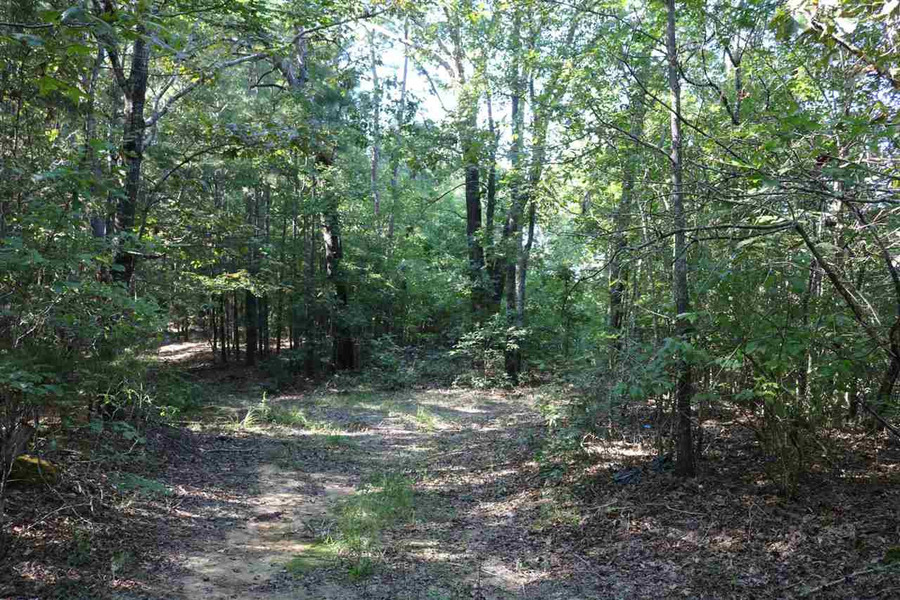 1115 Attala Road Kosciusko, MS 39090 - Photo 4 of 13 Photo 4