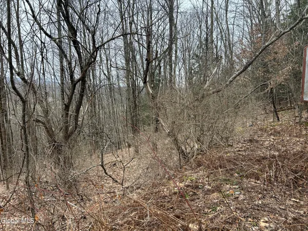 $19,900 | 135 Clark Way, Hebron, NY 12865