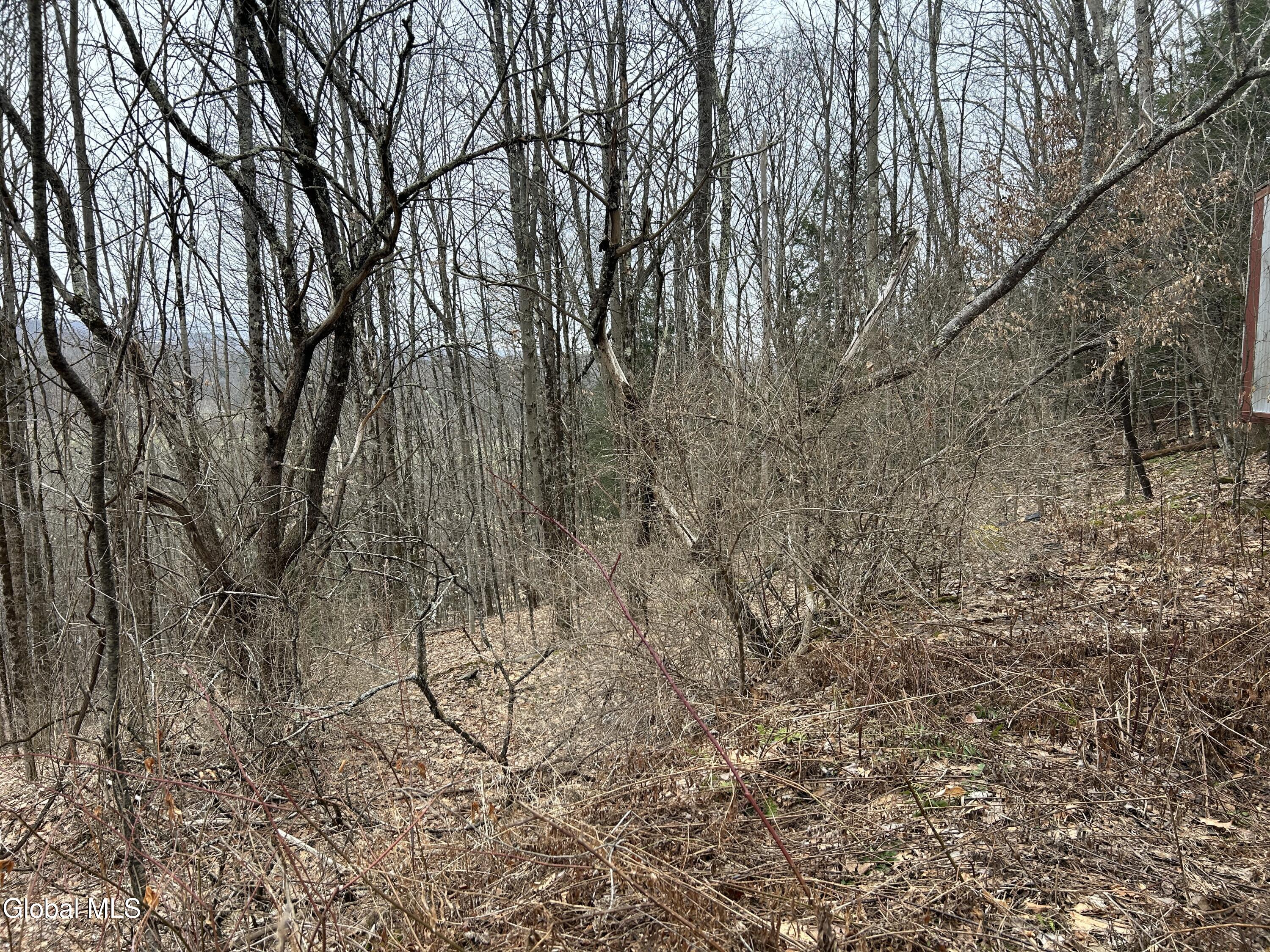 135 Clark Way Hebron, NY 12865 - Photo 3 of 9 135 Clark Way land