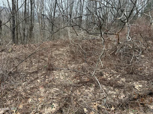 $19,900 | 135 Clark Way, Hebron, NY 12865