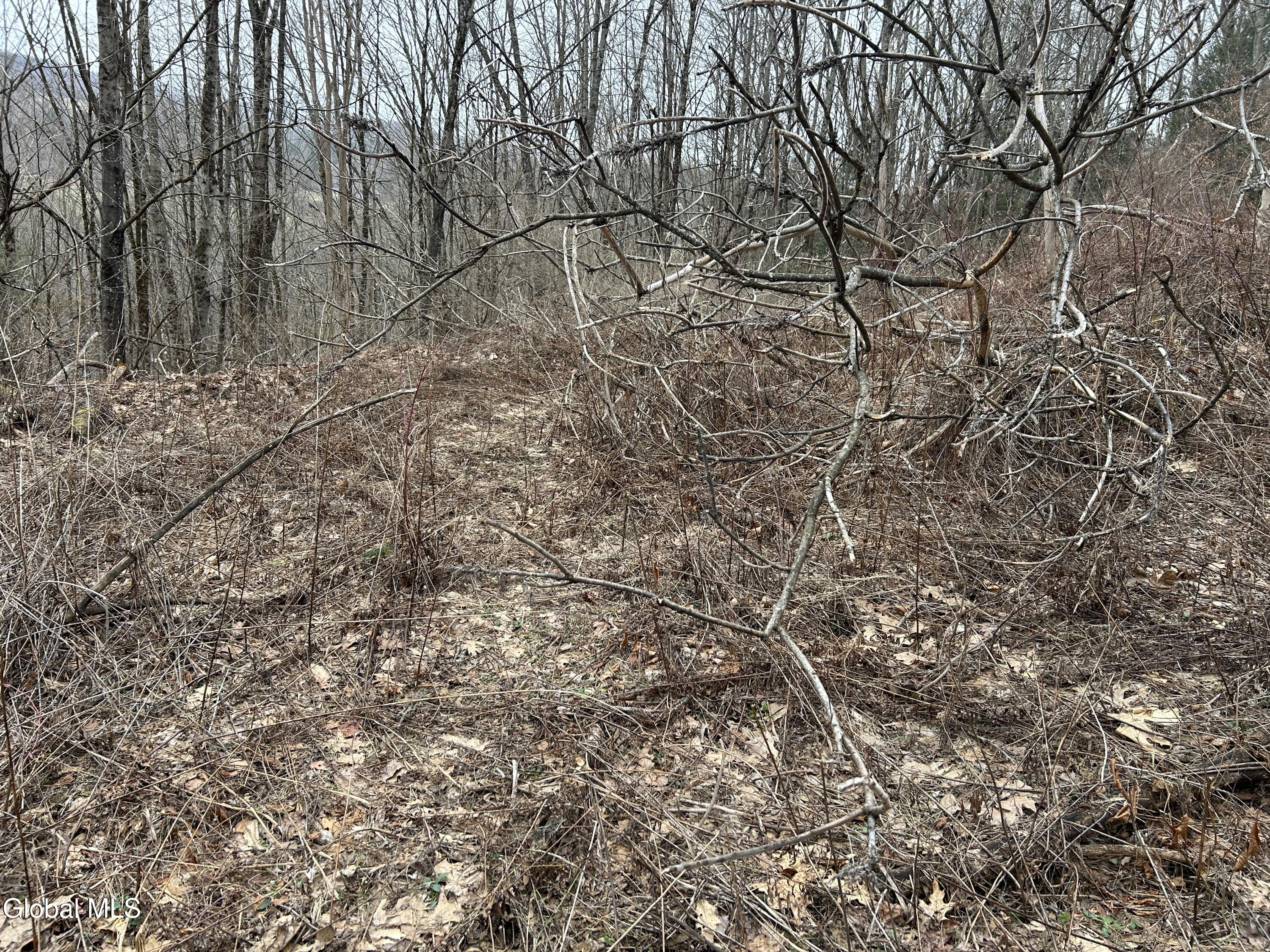 135 Clark Way Hebron, NY 12865 - Photo 4 of 9 135 Clark Way land1