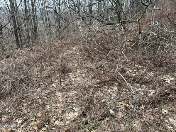 $19,900 | 135 Clark Way, Hebron, NY 12865