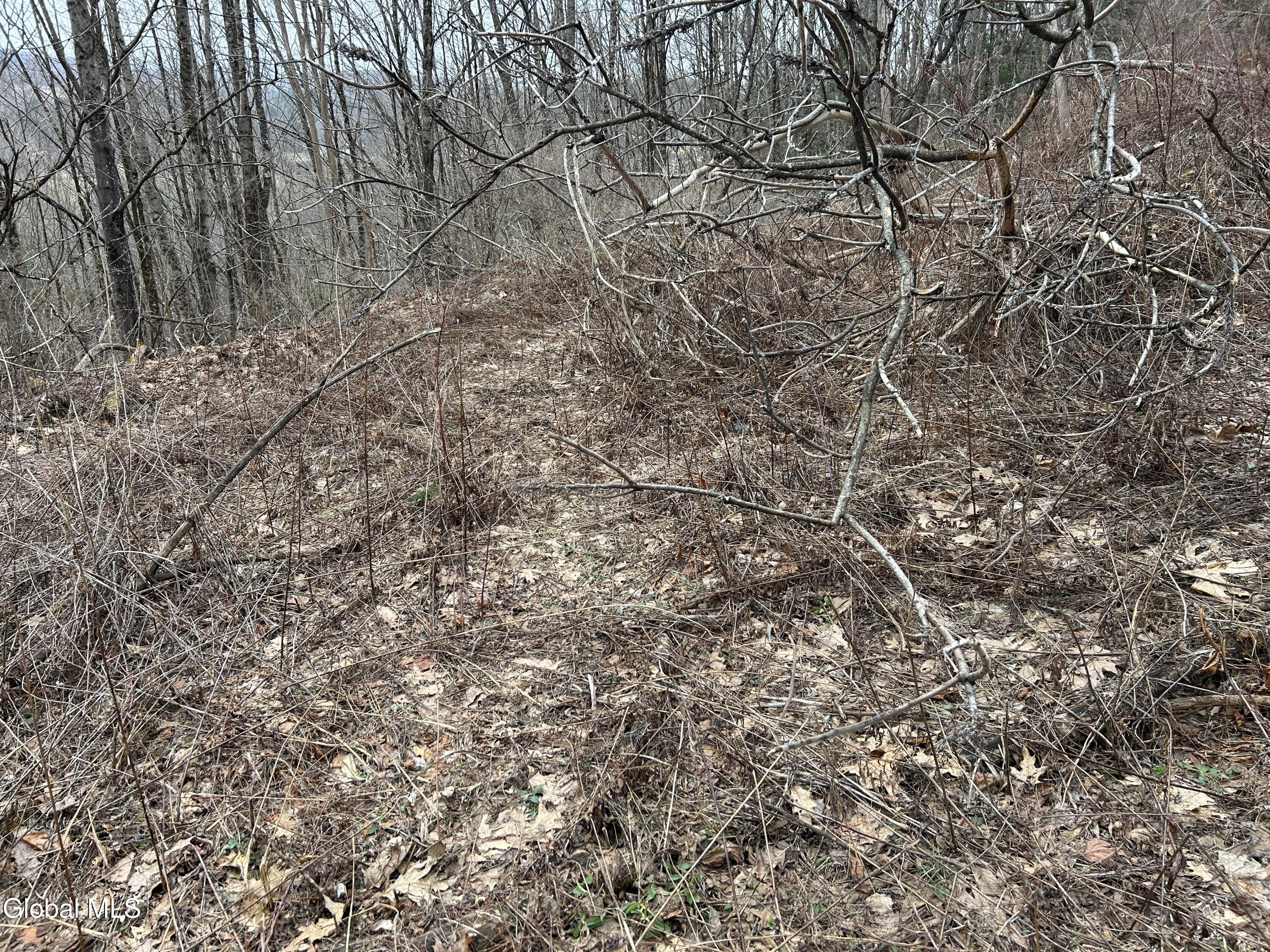 135 Clark Way Hebron, NY 12865 - Photo 5 of 9 135 Clark Way land2