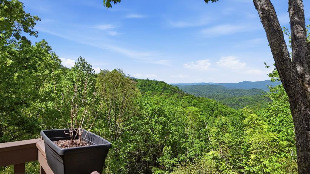 231 Ridge View Drive Andrews, NC 28901 - Photo 56 of 58