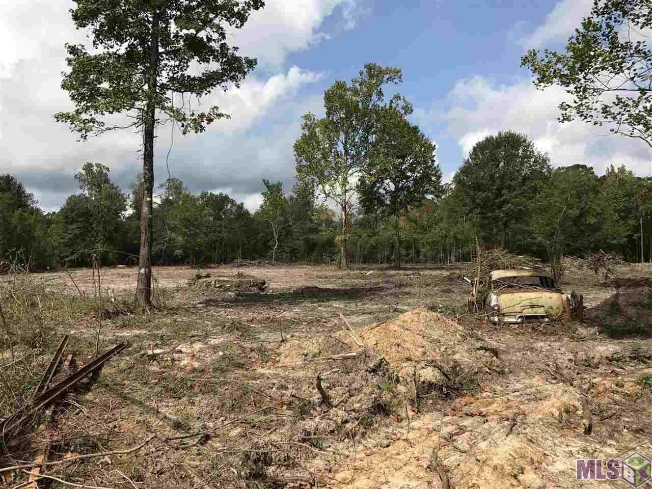 Lot 3 Blood River Road Springfield, LA 70462 - Photo 1 of 8