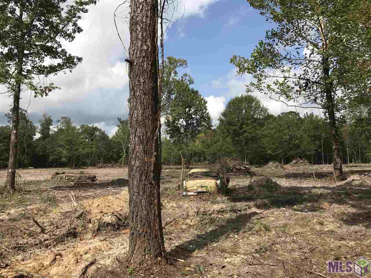 Lot 3 Blood River Road Springfield, LA 70462 - Photo 2 of 8