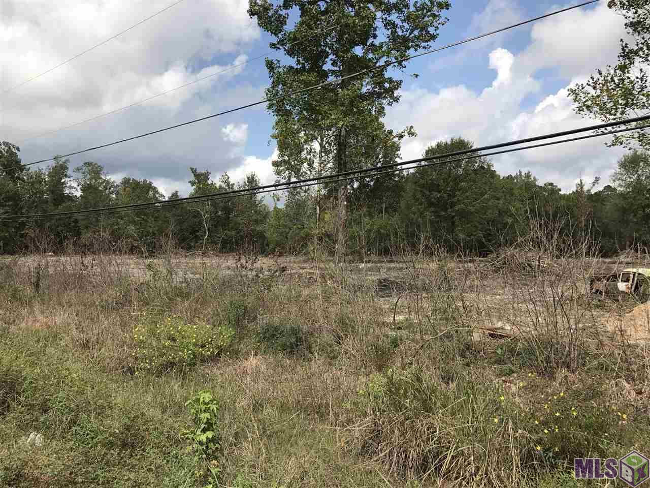 Lot 3 Blood River Road Springfield, LA 70462 - Photo 3 of 8