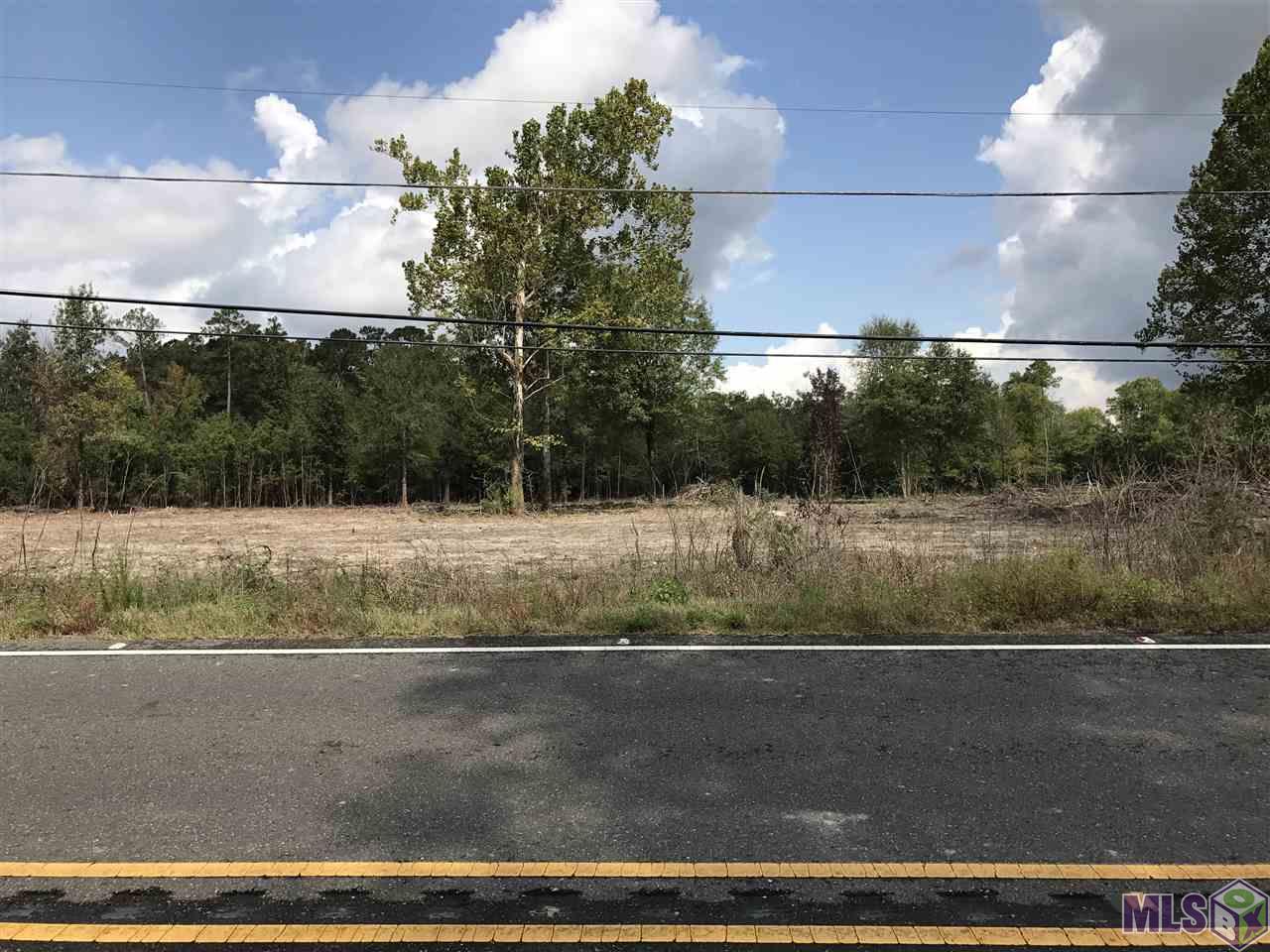 Lot 3 Blood River Road Springfield, LA 70462 - Photo 4 of 8