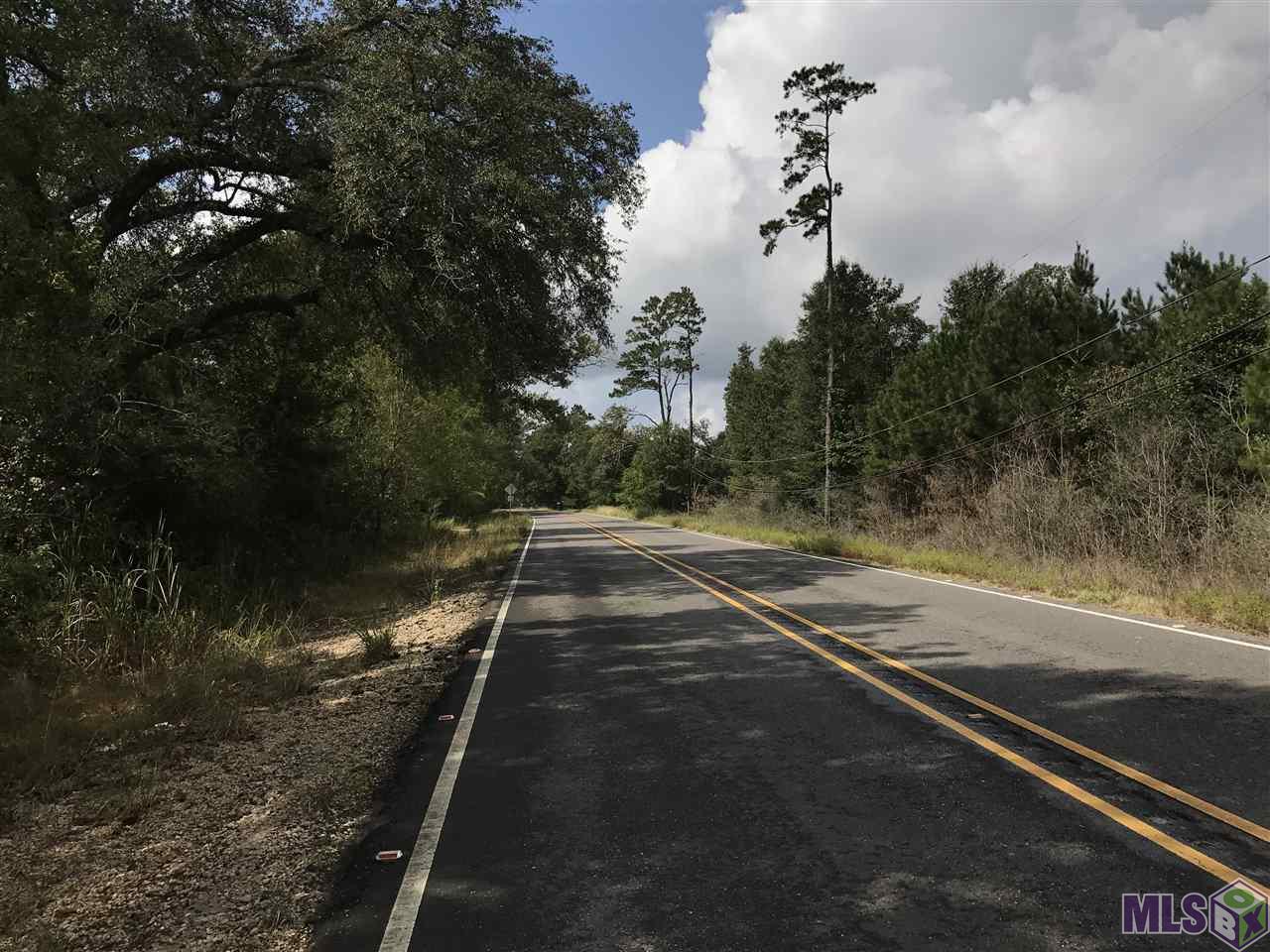 Lot 3 Blood River Road Springfield, LA 70462 - Photo 5 of 8