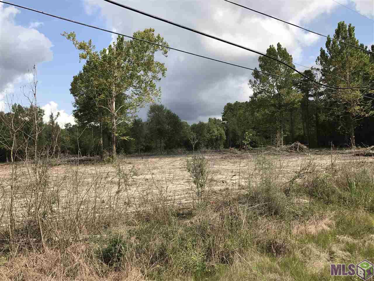 Lot 3 Blood River Road Springfield, LA 70462 - Photo 6 of 8