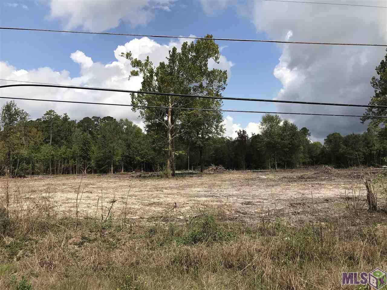 Lot 3 Blood River Road Springfield, LA 70462 - Photo 7 of 8