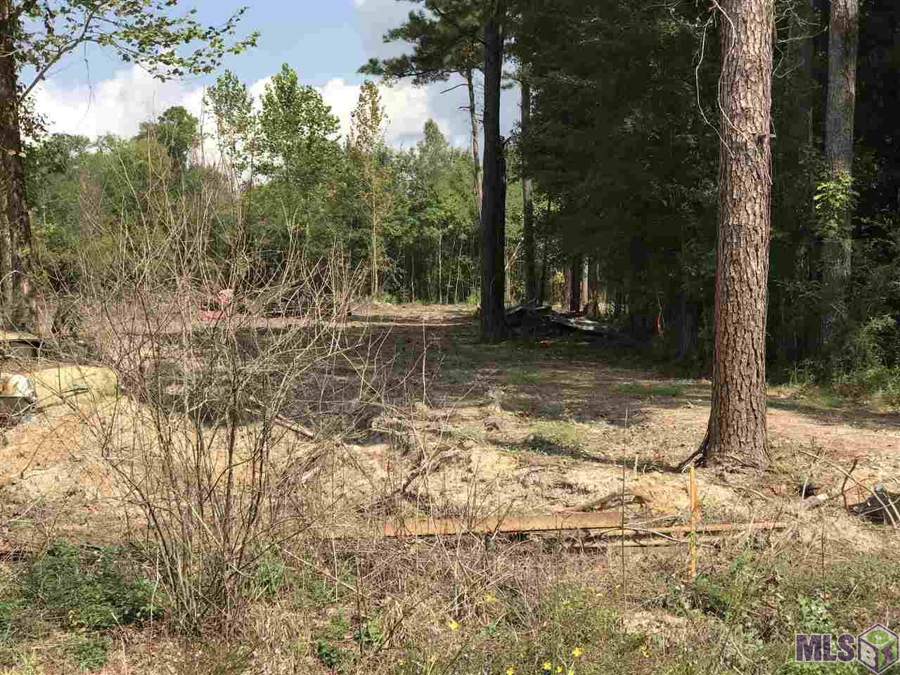 Lot 3 Blood River Road Springfield, LA 70462 - Photo 8 of 8