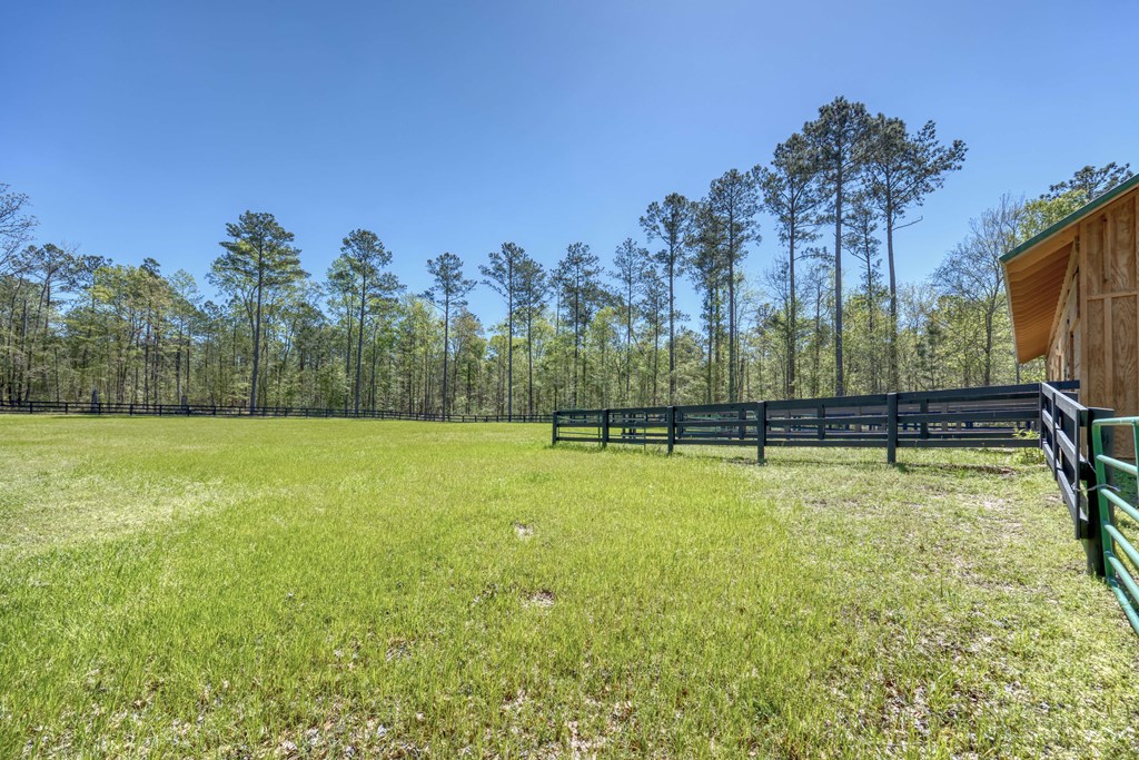 295 Apache Trail Waverly Hall, GA 31831 - Photo 38 of 48