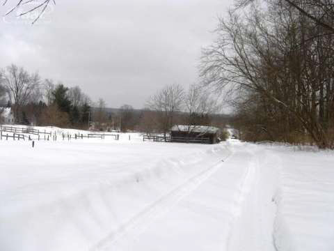 5833 Bullard Road Fenton, MI 48430 - Photo 13 of 14 20394079-12.JPG