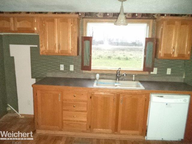 10025 Smiths Creek Road Goodells, MI 48027 - Photo 5 of 24 31309174-4.JPG