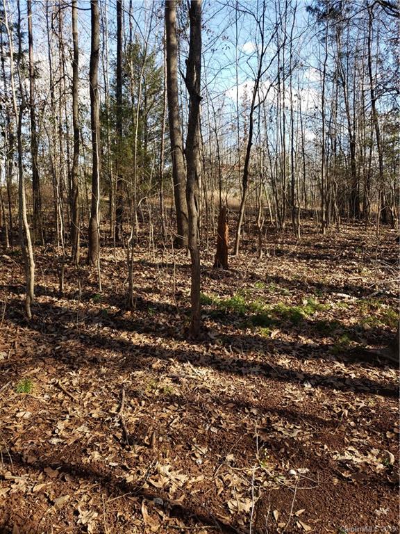 0 Hickory Heights Road Hickory Grove, SC 29717 - Photo 1 of 10