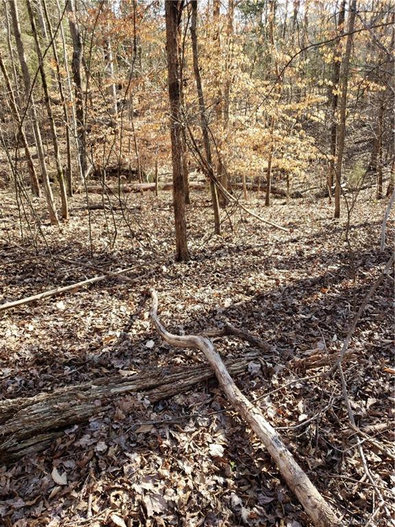 0 Hickory Heights Road Hickory Grove, SC 29717 - Photo 2 of 10
