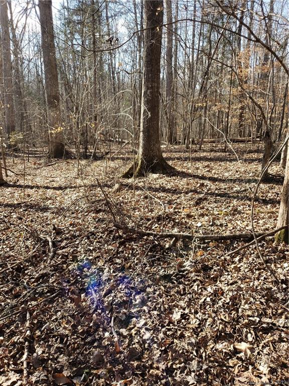 0 Hickory Heights Road Hickory Grove, SC 29717 - Photo 3 of 10