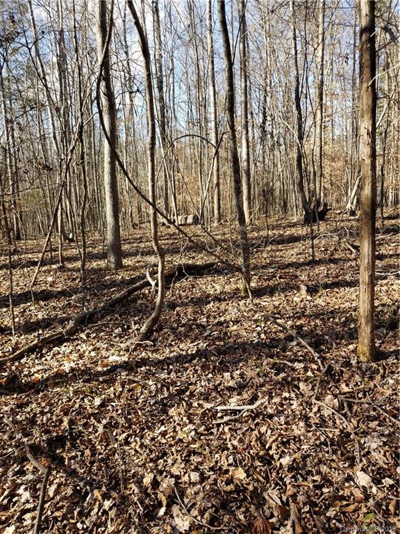 0 Hickory Heights Road Hickory Grove, SC 29717 - Photo 4 of 10