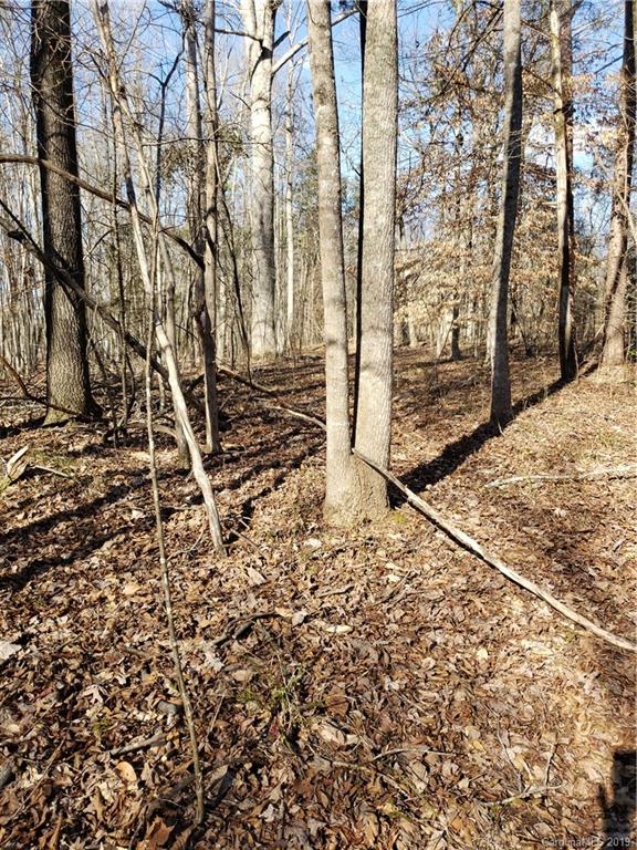 0 Hickory Heights Road Hickory Grove, SC 29717 - Photo 5 of 10