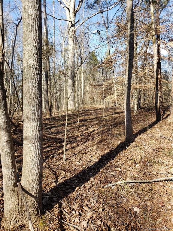 0 Hickory Heights Road Hickory Grove, SC 29717 - Photo 6 of 10
