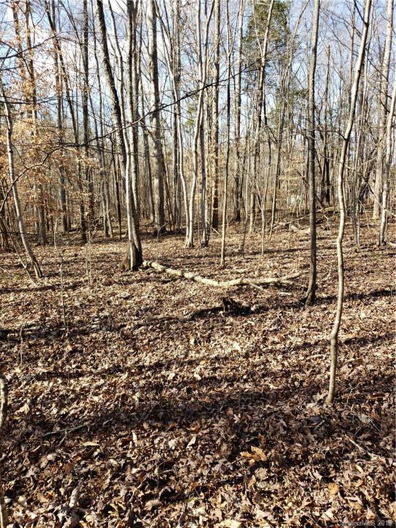 0 Hickory Heights Road Hickory Grove, SC 29717 - Photo 7 of 10