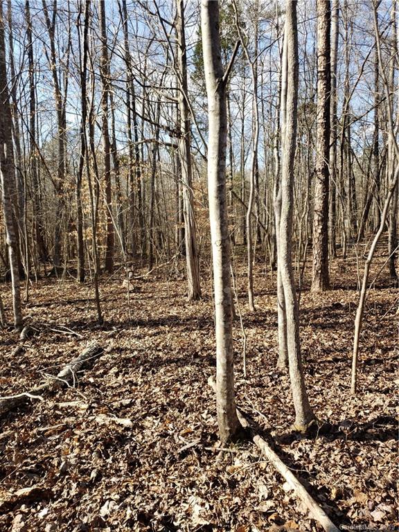 0 Hickory Heights Road Hickory Grove, SC 29717 - Photo 8 of 10